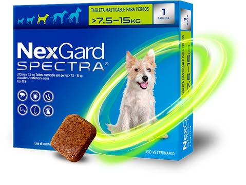 Nexgard Spectra